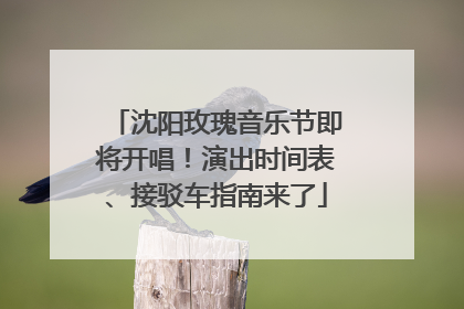 沈阳玫瑰音乐节即将开唱！演出时间表、接驳车指南来了