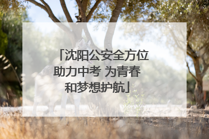 沈阳公安全方位助力中考 为青春和梦想护航