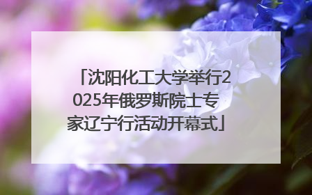 沈阳化工大学举行2025年俄罗斯院士专家辽宁行活动开幕式