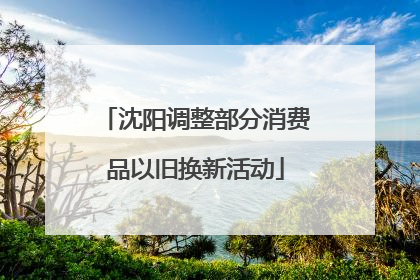 沈阳调整部分消费品以旧换新活动