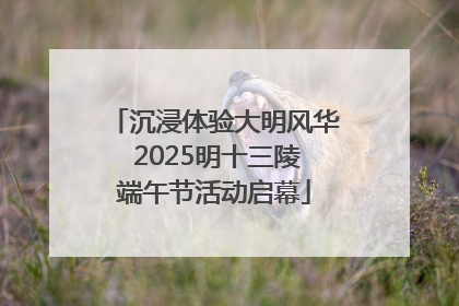 沉浸体验大明风华 2025明十三陵端午节活动启幕