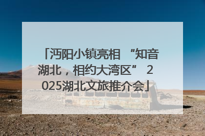 沔阳小镇亮相 “知音湖北，相约大湾区” 2025湖北文旅推介会