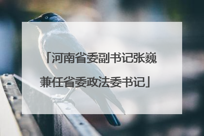 河南省委副书记张巍兼任省委政法委书记