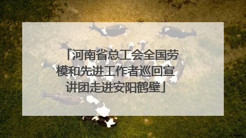 河南省总工会全国劳模和先进工作者巡回宣讲团走进安阳鹤壁