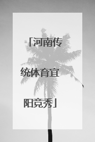 河南传统体育宜阳竞秀