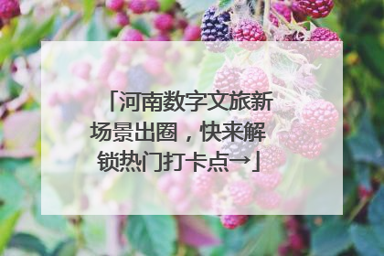 河南数字文旅新场景出圈，快来解锁热门打卡点→