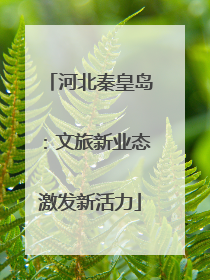 河北秦皇岛：文旅新业态激发新活力
