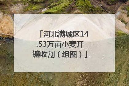 河北满城区14.53万亩小麦开镰收割（组图）