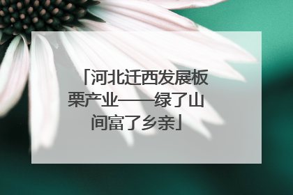 河北迁西发展板栗产业——绿了山间富了乡亲