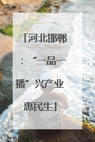 河北邯郸：“一品一播”兴产业惠民生