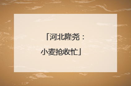河北隆尧：小麦抢收忙
