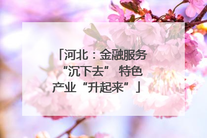 河北：金融服务“沉下去” 特色产业“升起来”