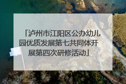 泸州市江阳区公办幼儿园优质发展第七共同体开展第四次研修活动