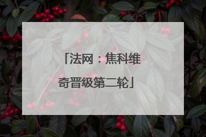 法网：焦科维奇晋级第二轮