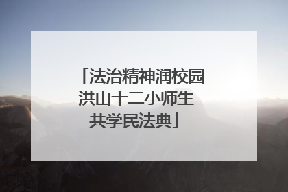 法治精神润校园 洪山十二小师生共学民法典