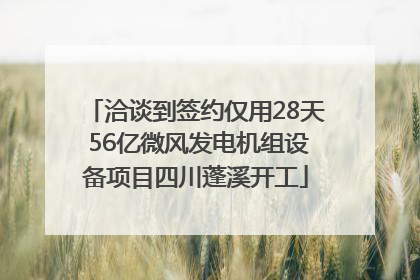洽谈到签约仅用28天 56亿微风发电机组设备项目四川蓬溪开工