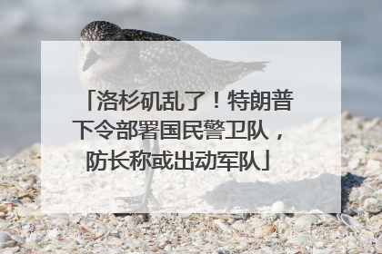 洛杉矶乱了！特朗普下令部署国民警卫队，防长称或出动军队