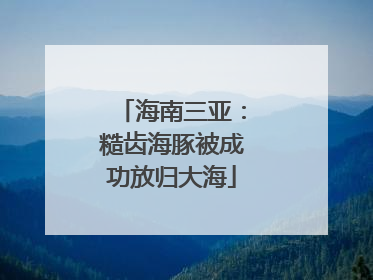 海南三亚：糙齿海豚被成功放归大海