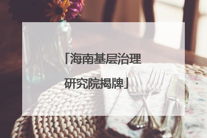 海南基层治理研究院揭牌