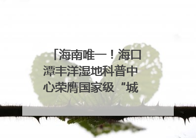海南唯一！海口潭丰洋湿地科普中心荣膺国家级“城市儿童友好空间建设园区”称号