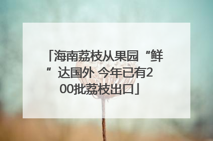 海南荔枝从果园“鲜”达国外 今年已有200批荔枝出口