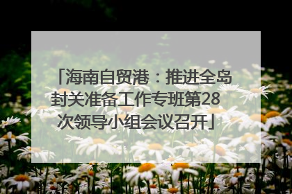 海南自贸港：推进全岛封关准备工作专班第28次领导小组会议召开