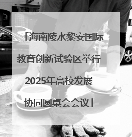 海南陵水黎安国际教育创新试验区举行2025年高校发展协同圆桌会会议
