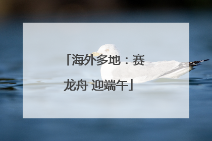 海外多地：赛龙舟 迎端午