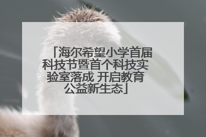 海尔希望小学首届科技节暨首个科技实验室落成 开启教育公益新生态