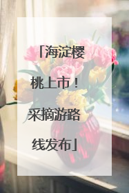 海淀樱桃上市！采摘游路线发布