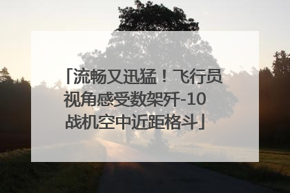 流畅又迅猛！飞行员视角感受数架歼-10战机空中近距格斗