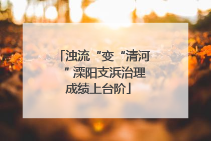 浊流“变“清河“ 溧阳支浜治理成绩上台阶