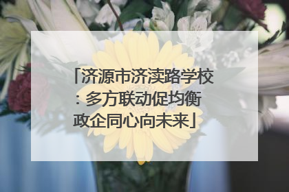 济源市济渎路学校：多方联动促均衡 政企同心向未来