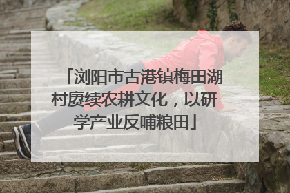 浏阳市古港镇梅田湖村赓续农耕文化，以研学产业反哺粮田
