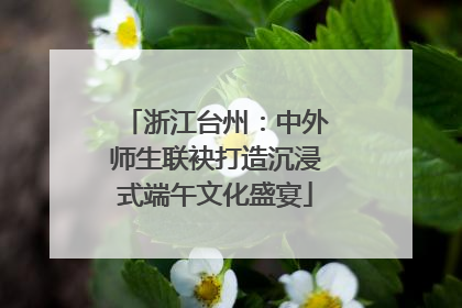 浙江台州：中外师生联袂打造沉浸式端午文化盛宴