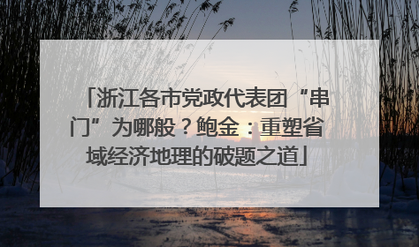 浙江各市党政代表团“串门”为哪般？鲍金：重塑省域经济地理的破题之道