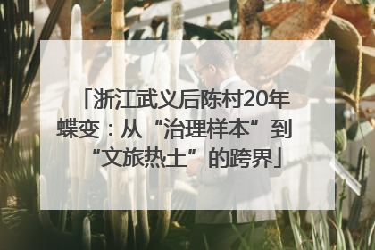 浙江武义后陈村20年蝶变：从“治理样本”到“文旅热土”的跨界