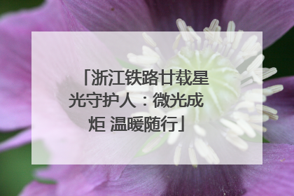 浙江铁路廿载星光守护人：微光成炬 温暖随行
