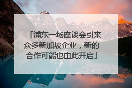 浦东一场座谈会引来众多新加坡企业，新的合作可能也由此开启