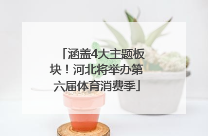 涵盖4大主题板块！河北将举办第六届体育消费季