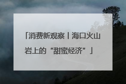 消费新观察丨海口火山岩上的“甜蜜经济”