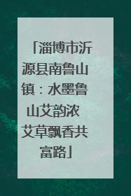 淄博市沂源县南鲁山镇：水墨鲁山艾韵浓 艾草飘香共富路