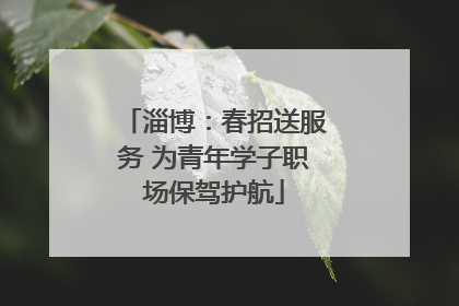 淄博：春招送服务 为青年学子职场保驾护航