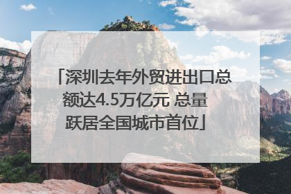 深圳去年外贸进出口总额达4.5万亿元 总量跃居全国城市首位