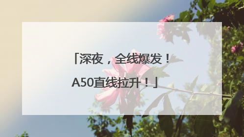 深夜，全线爆发！A50直线拉升！
