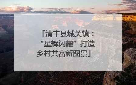 清丰县城关镇：“星辉闪耀”打造乡村共富新图景