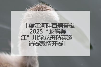 渠江河畔百舸奋楫 2025“龙腾渠江”川渝龙舟精英邀请赛激情开赛