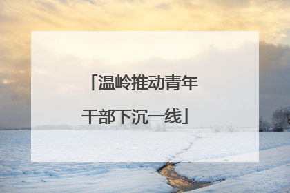 温岭推动青年干部下沉一线