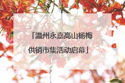 温州永嘉高山杨梅供销市集活动启幕