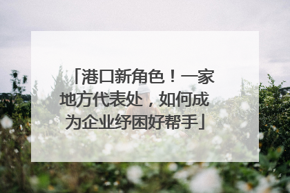 港口新角色！一家地方代表处，如何成为企业纾困好帮手